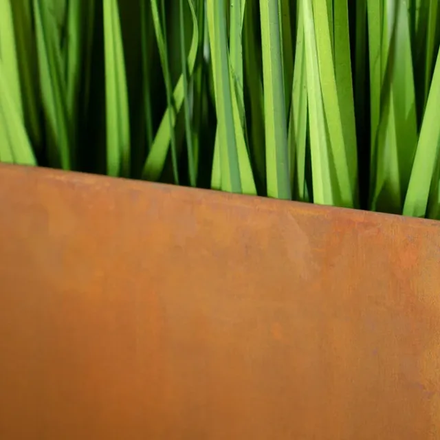 ຫນ້າທີ່ຂອງຮົ້ວນອກ.